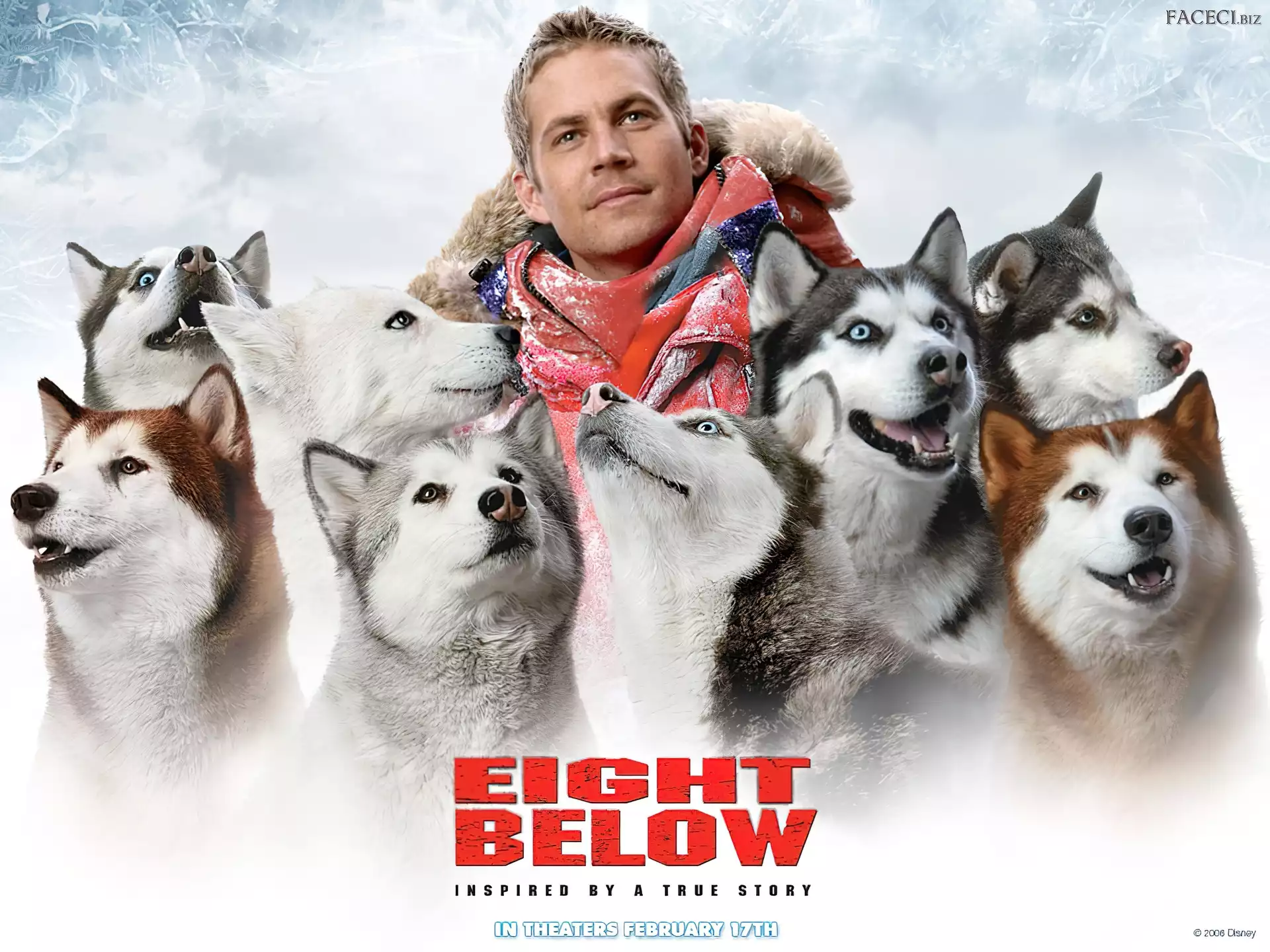 psy, Eight Below, Paul Walker